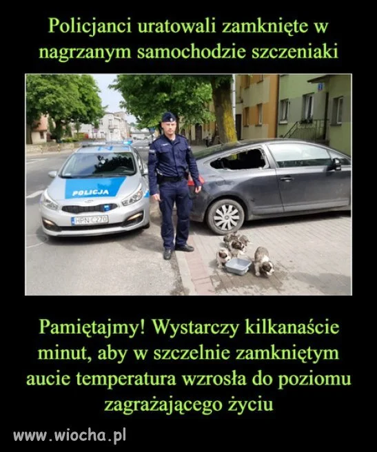 Teraz bardzo aktualne...