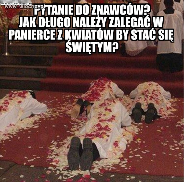 Dziwne zwyczaje dziwnych ludzi!