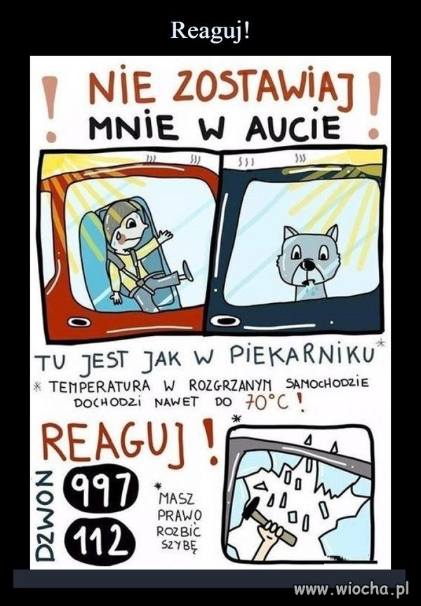 Tak dla przypomnienia