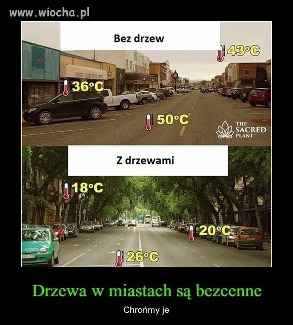 Tak wygląda betonowanie