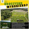 Inwestor pozostaje więc zwolniony z opłaty w wysokości 2 623 577 zł za wycięte drzewa, a także z jakichkolwiek działań kompensacyjnych dla środowiska