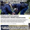 Szkoda gadać! Tak rozbił szybę że wypuścił...
