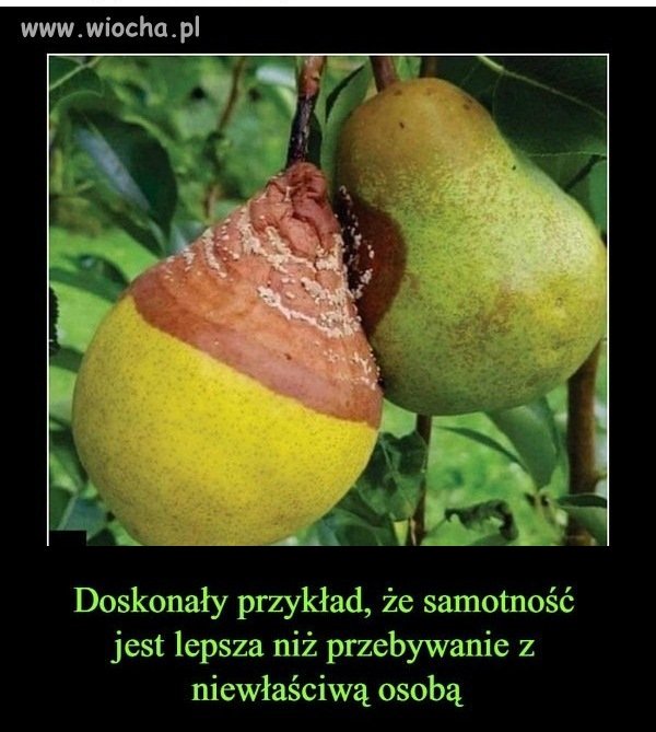 Z jakim przystajesz