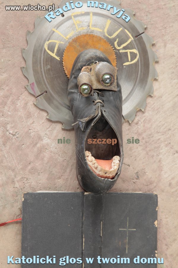 Absurdy Kosciola