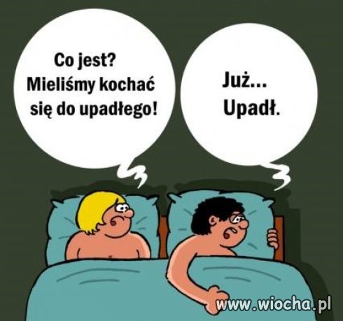 Międzynarodowy Dzień Seksu.