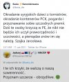 Same kryształy Jarka 