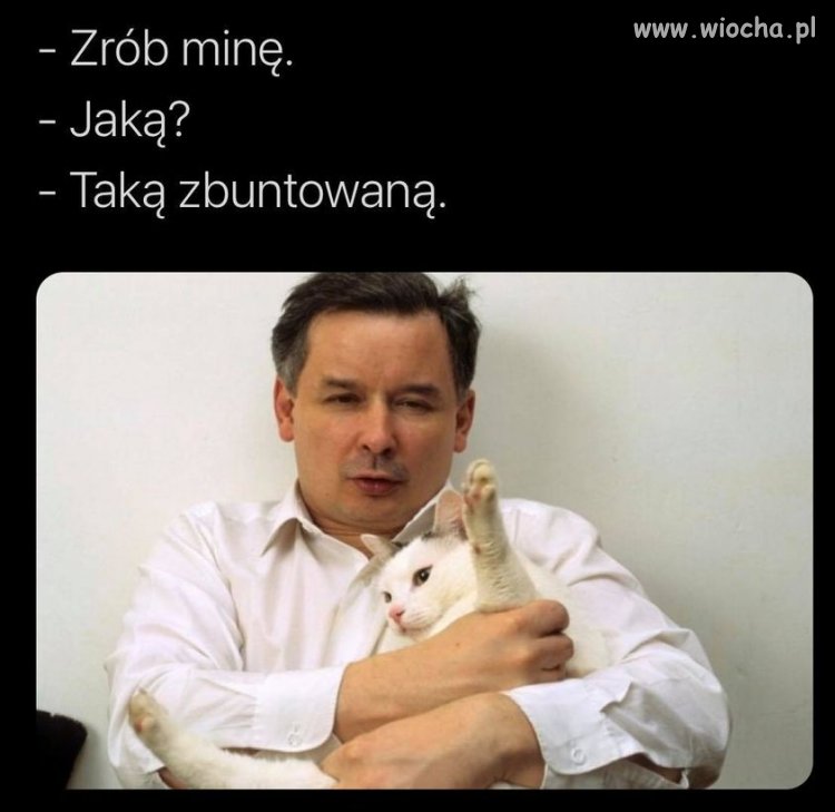 Aktorstwo polityczne.
