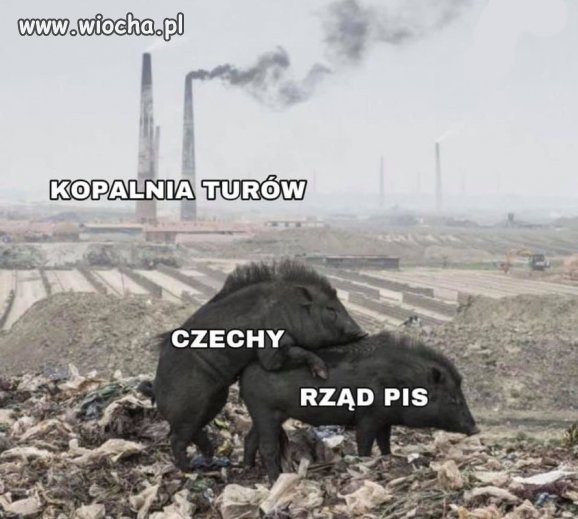 Tytuł zbędny.