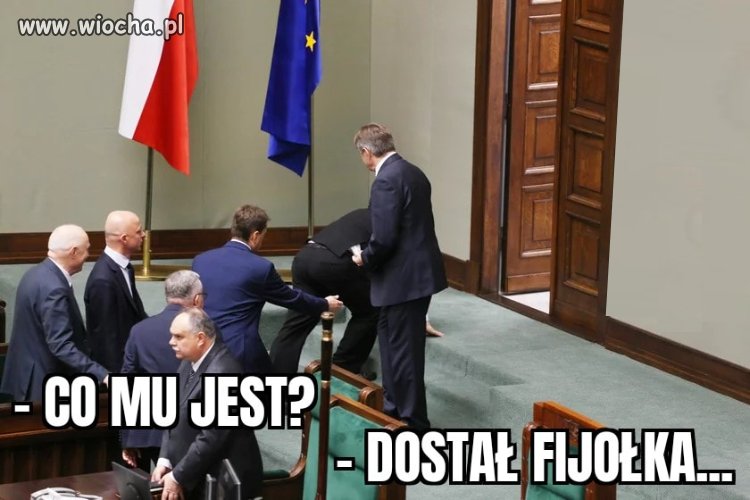 Dostał fiołka i zrobił fikołka 