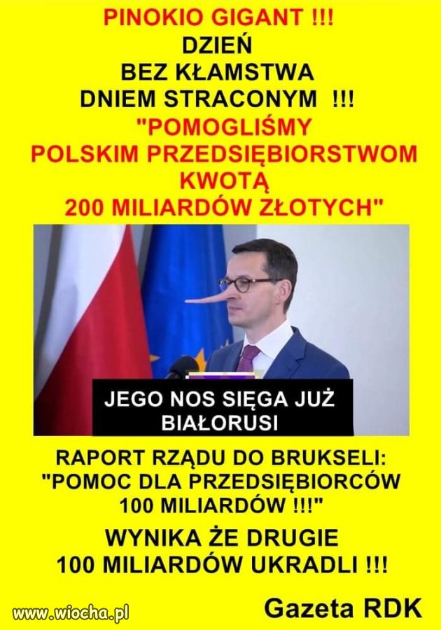 Matołuszek 