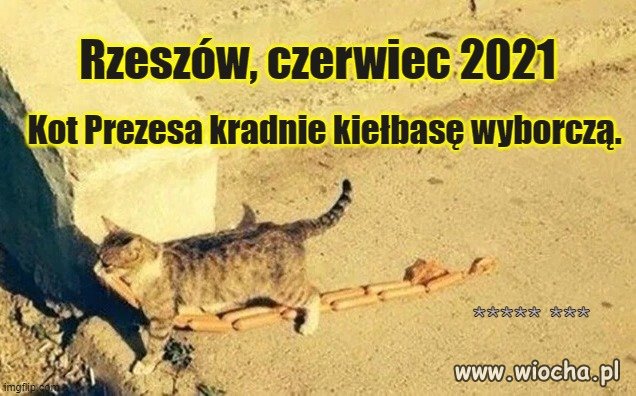 Znamy już przyczynę porażki w Radomiu
