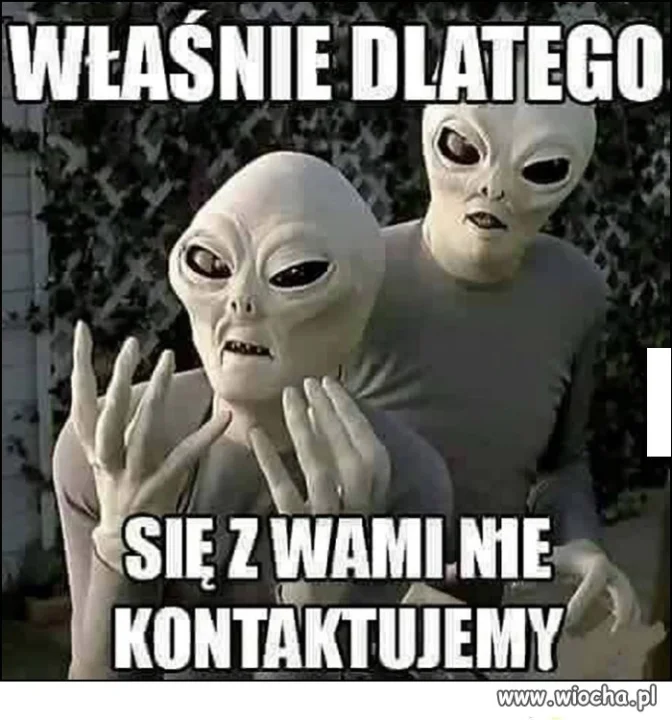 Księża i PIS