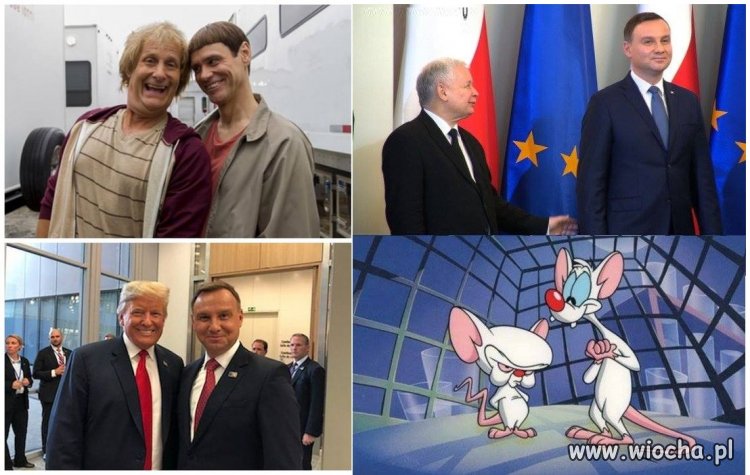 Na wesoło