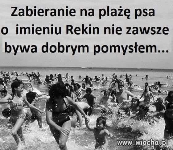Dość ciekawy pomysł 
