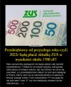 Co o tym sadzicie?