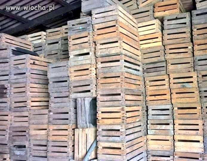 Prywatne skrzynki polskiego rządu są nieszczelne, 