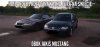 Passat i Mustang