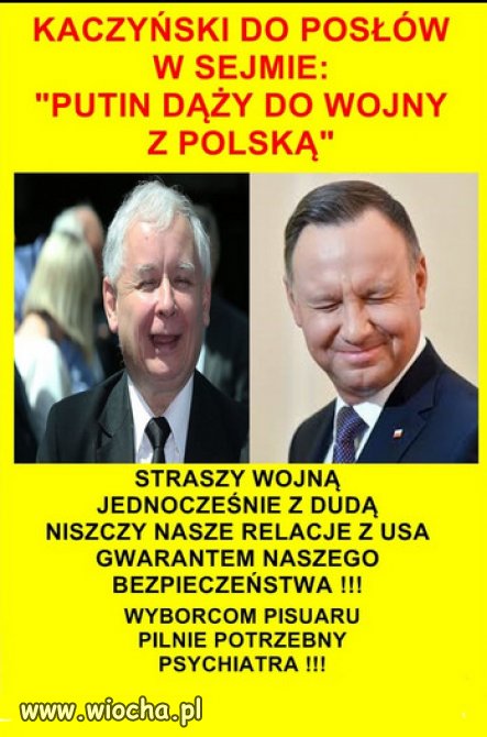 Opinie o Kaczynskim na internecie: