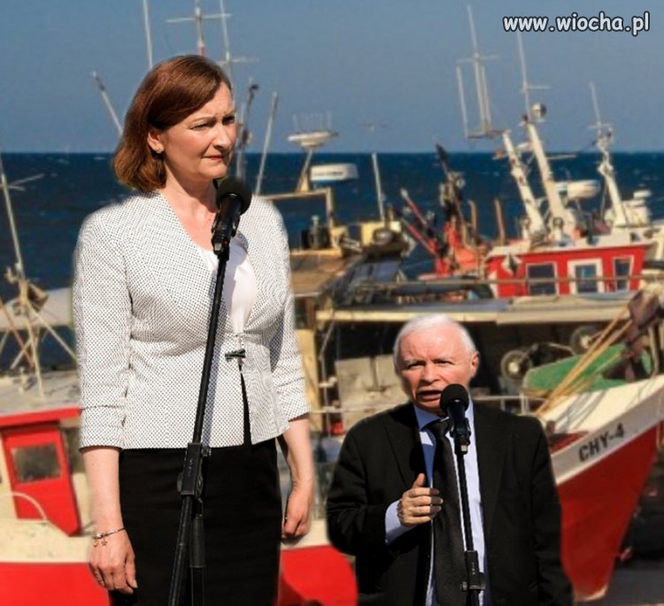 Jarosław Kaczyński na rynku w Rzeszowie.