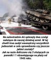 Polska armia 