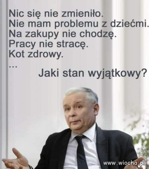 Wszystko 