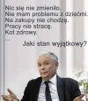 Wszystko 