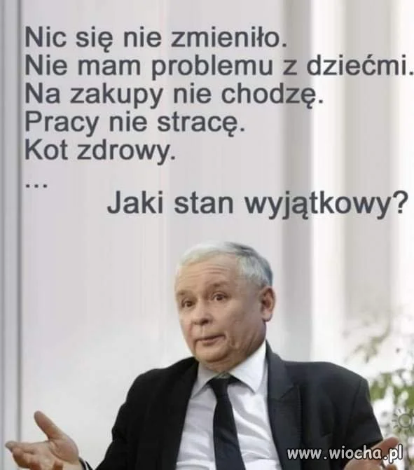 Wszystko 