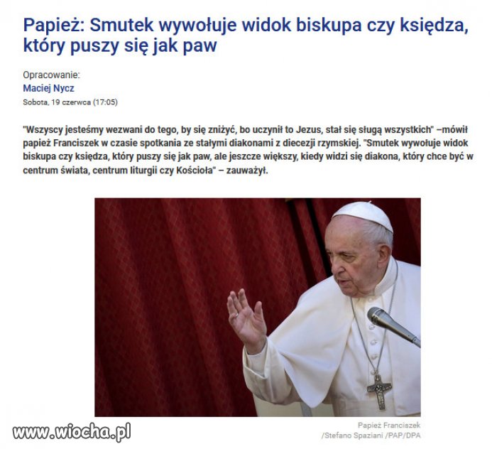 Co tam Franciszek może wiedzieć?