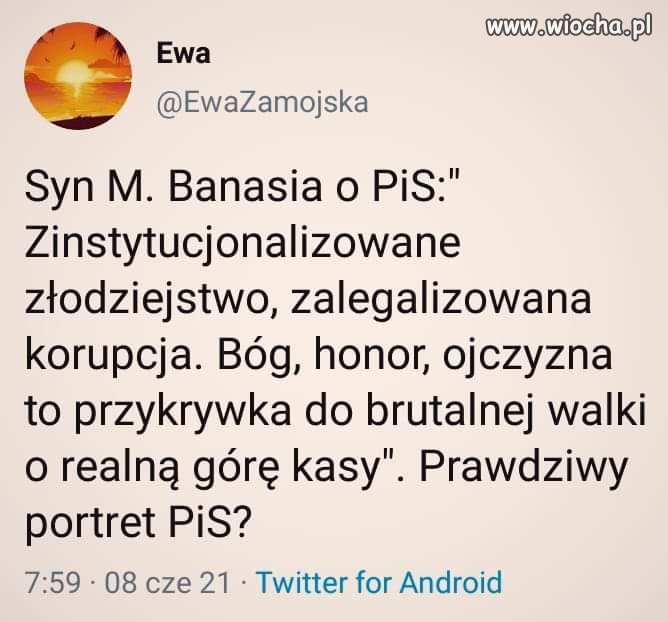 No jasne, że prawdziwy