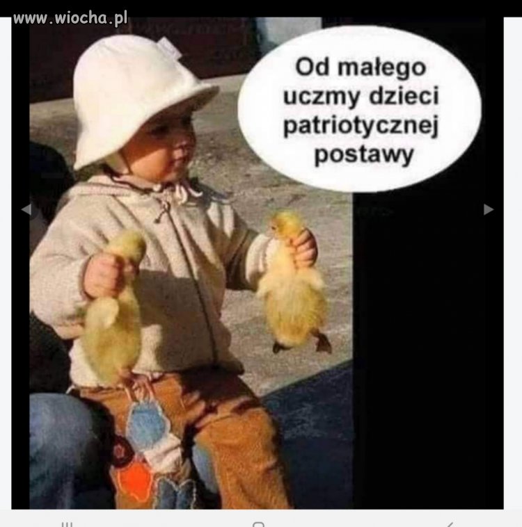 Mały rzeszowianin