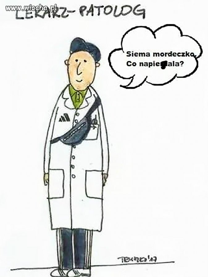 Elo ziom