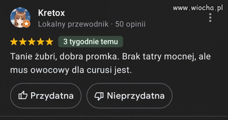500+ na zakupach
