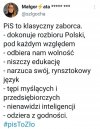 Pisowski