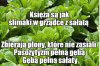 Twój wybór kto korzysta z Twojej pracy