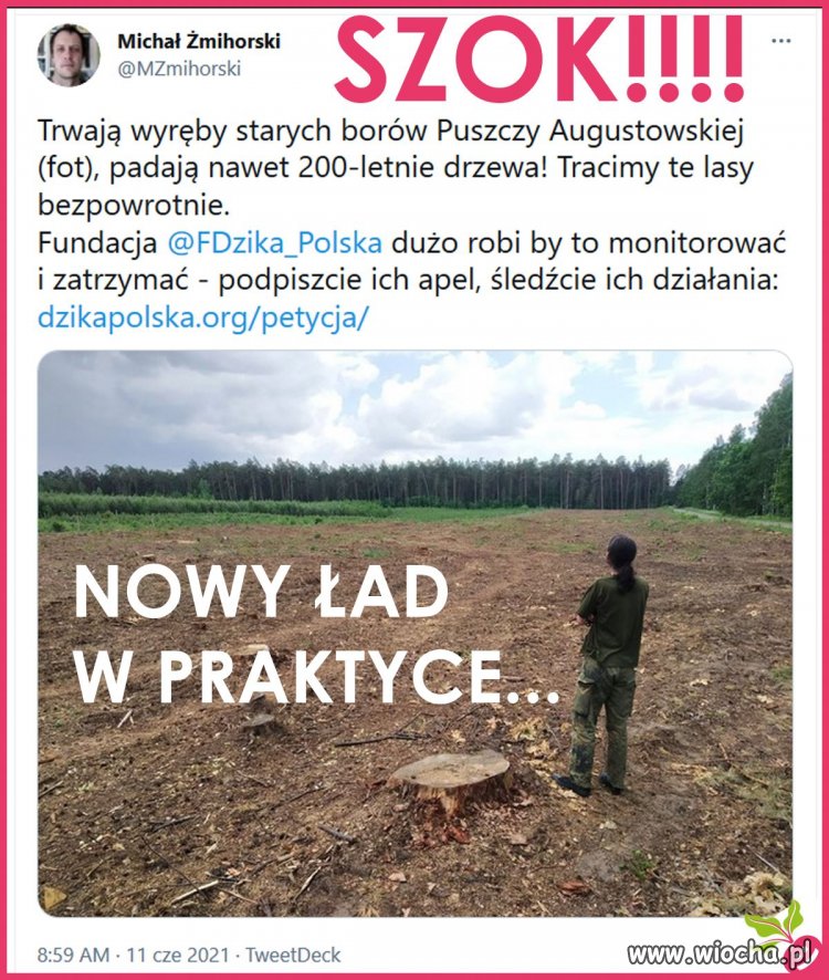 Tak to właśnie wygląda