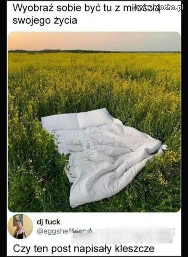 Miłość 
