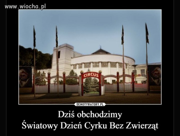 Światowy dzień cyrku 