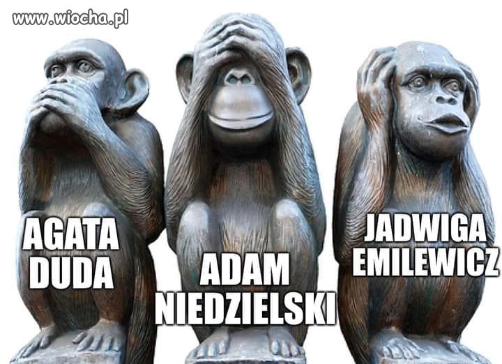 PiS w pigułce.