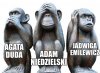 PiS w pigułce.