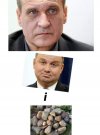 Rebusik
