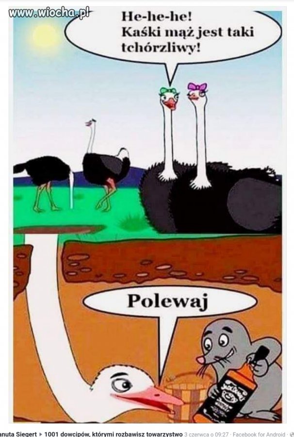 Polewaj!