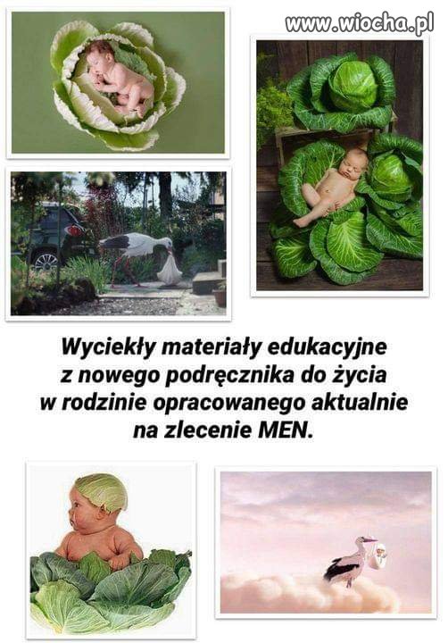 Materiały 