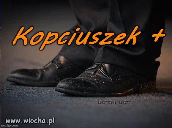 To w końcu Gąska Balbinka,Kaczka Dziwaczka