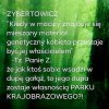 Jak to jest? 