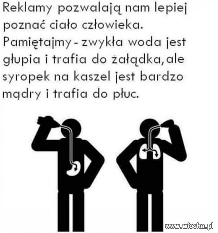 Się narobiło