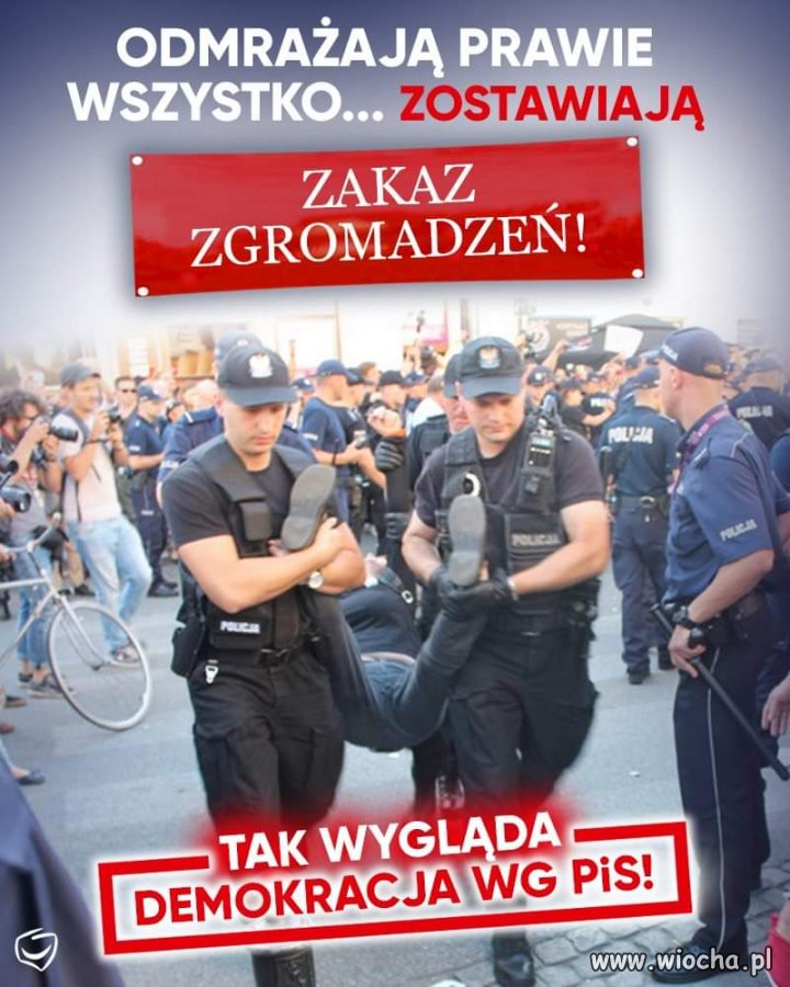 Posłuszni 