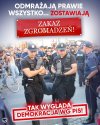 Posłuszni 