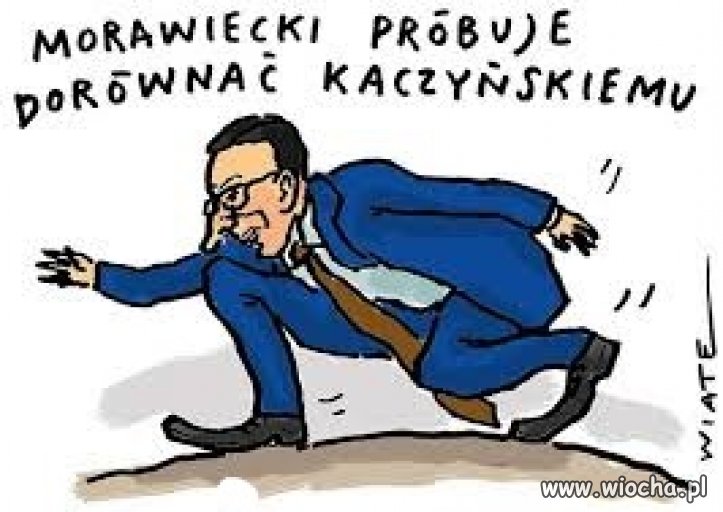 Jak się zniżysz do odpowiedniego poziomu to będziesz wielki 