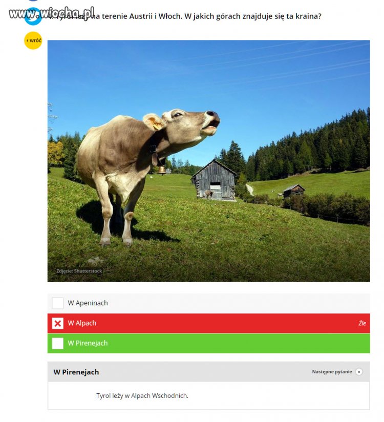 Quiz na Onecie