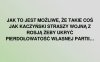 Przy tym rządzie wszystko jest możliwe